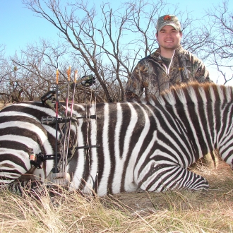 Trophy Zebra